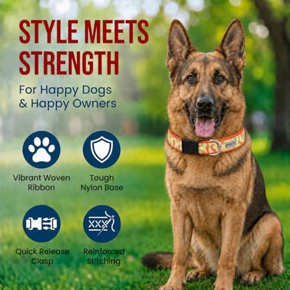 THE WORTHY DOG Spring Holiday Crazy Carrots Dog Collar – Durable Nylon, Woven Ribbon, Quick-Release Buckle, Nickel D-Ring – Green, X-Large - color: Crazy Carrots - Green, size: X Large