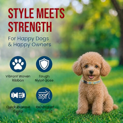 THE WORTHY DOG Spring Holiday Easter Eggs Dog Collar – Durable Nylon, Woven Ribbon, Quick-Release Buckle, Nickel D-Ring – Blue, X-Small - color: Easter Eggs - Blue, size: X Small