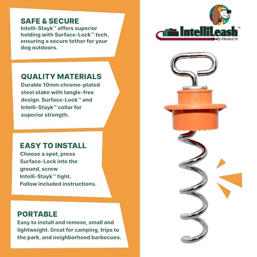 IntelliLeash Intelli-Stayk: Tailored for Soft Soils – Specialized Tie Out Stake for Dogs