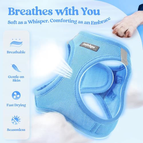 rabbitgoo Dog Harness Small Sized and Leash Set, Step in Soft Light Puppy Vest, Breathable Mesh Pet Harness, Reflective for Safe Easy Walking, Blue XXS - color: Blue, size: Xxs (chest: 12.4 - 14.2")