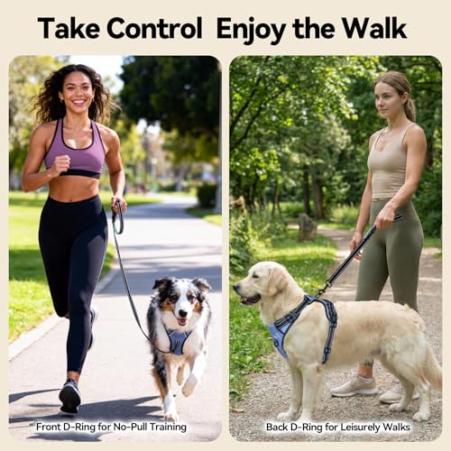 PHOEPET No Pull Dog Harness Reflective Adjustable with 2 Metal Leash Hooks and Soft Training Handle [Over The Head Design](S, Baby Blue) - color: Baby Blue, size: Small