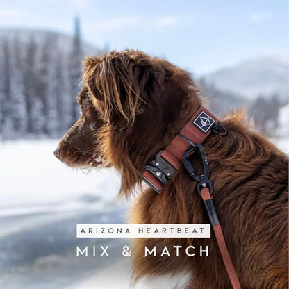 MADE TO ROAM Premium Explorer Leash - Climbing Rope Leash with Autolocking Aviation Aluminum Carabiner - Virginia Mountains, 6ft - color: Virginia Mountains, size: 6 Feet