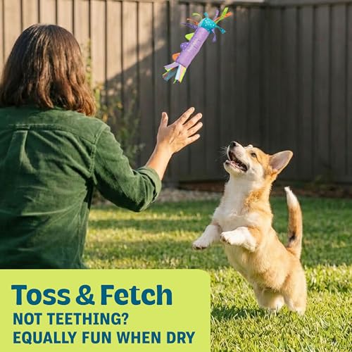 Cool Teething Stick – Puppy Chew Toy for 0–6 Month Puppies, Teething Relief, Freezable & Durable - color: Teething Stick