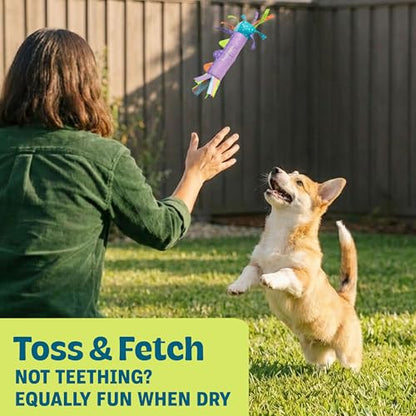 Cool Teething Stick – Puppy Chew Toy for 0–6 Month Puppies, Teething Relief, Freezable & Durable - color: Teething Stick