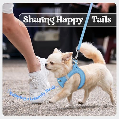 rabbitgoo Dog Harness Small Sized and Leash Set, Step in Soft Light Puppy Vest, Breathable Mesh Pet Harness, Reflective for Safe Easy Walking, Blue XXXS - color: Blue, size: Xxxs (chest: 10.8 - 11.8")