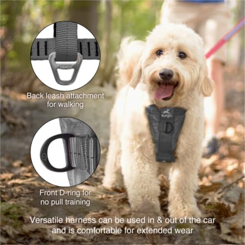 Kurgo Enhanced Strength Tru-Fit Dog Car Harness - Pet Travel Safety Harness - Crash Test Certified Fit - Five Point Adjustment - Secure Buckle - Padded Chest - Charcoal - Small