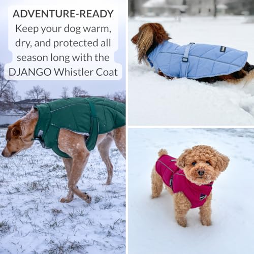 DJANGO Insulated Puffer Dog Jacket with Harness Hole – Warm, Water-Repellent Winter Dog Coat Small Dogs, Dachshunds, Puppies – Adjustable, Reflective Cold Weather Dog Apparel – Hibiscus Pink, Small - color: Hibiscus Pink, size: Small