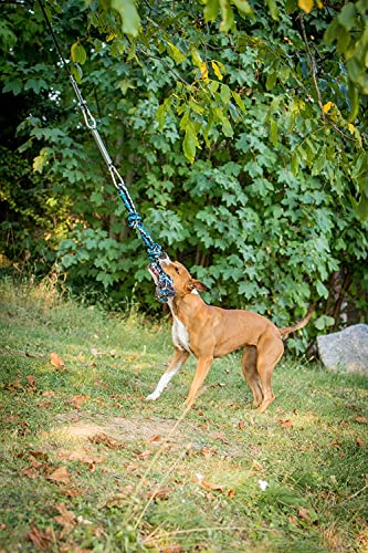 YES4QUALITY Flirt Pole for Dogs, 2 Durable Spring Poles with Strong Dog Rope Toy, Heavy Duty Lure Pole for Dogs of Any Size, Dog Toy for Fun Obedience Training & Exercise, Pull & Tug of War Toy - size: Spring Pole