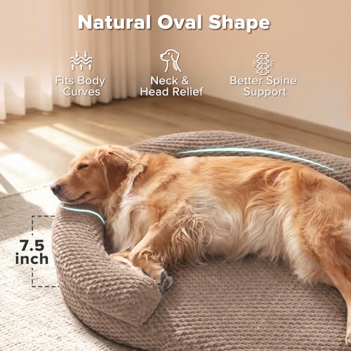 JOEJOY XL Orthopedic Dog Beds Large Sized Dog, Extra Large Washable Waterproof Oval Large Dog Bed with Removable Cover, Egg-Crate Foam Pet Bed with Bolster Sides & Non-Skid Bottom, Brown, 42''x31'' - color: Brown, size: XL(42"x 32"x 7")