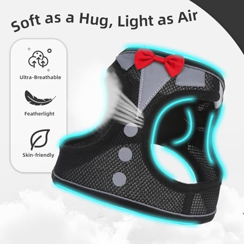 PUPTECK Dog Harness and Leash Set for Small Medium Dogs No Pull Step-in Soft Mesh Puppy Cat Vest Harnesses Reflective at Night, Black Bow Tie, S - color: #3 Black(Bow Tie), size: S(CHEST 14.5"-16", 6.6-14 lbs)
