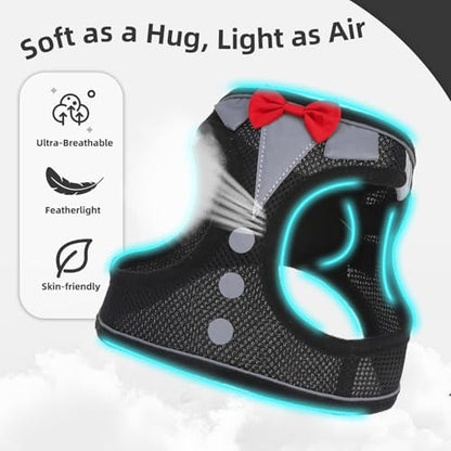 PUPTECK Dog Harness and Leash Set for Small Medium Dogs No Pull Step-in Soft Mesh Puppy Cat Vest Harnesses Reflective at Night, Black Bow Tie, S - color: #3 Black(Bow Tie), size: S(CHEST 14.5"-16", 6.6-14 lbs)