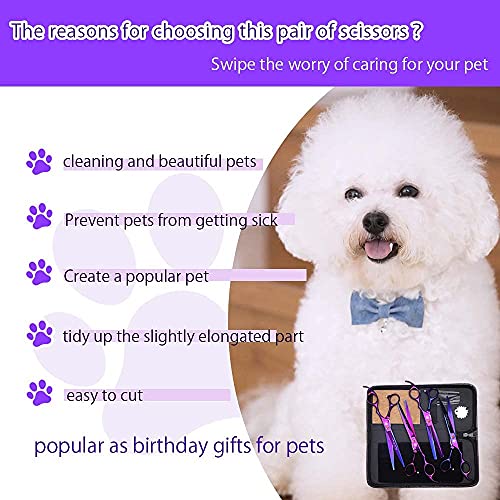 Purple Dragon Professional 7.0 inch 4PCS Pet Grooming Scissors Kit Japan Premium Steel Straight & Curved & Thinning Blade Dog Hair Cutting Shears Set with Case - color: Electroplating Purple