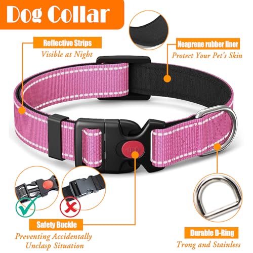 LOBEVE No Pull Dog Harness, Collar & Leash Set | Includes Dog Seat Belt, Collapsible Bowls & Poop Bag Dispenser. Ideal for Training, Walking, Hiking. Fits Small to Large Dogs(Pink-L) - color: Pink, size: Large