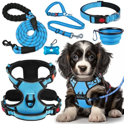 LOBEVE No Pull Dog Harness, Collar & Leash Set | Includes Dog Seat Belt, Collapsible Bowls & Poop Bag Dispenser. Ideal for Training, Walking, Hiking. Fits Small to Large Dogs(Blue-S) - color: Blue, size: Small