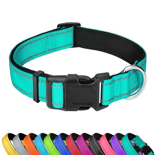 Reflective Dog Collar, Adjustable Soft Neoprene Padded Nylon Pet Collars with Buckle for Medium Dogs, Teal,M - color: Teal, size: Medium