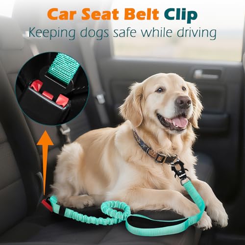 PetBonus Heavy Duty Tactical Dog Leash, 5 FT Bungee Shock Absorption Leash with 2 Padded Handles, Quick Release Metal Clip, Car Seatbelt, No Pull Training Lead for Large Medium Dogs（Turquoise） - color: Turquoise