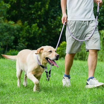 Rope Dog Leash, 4 ft Heavy Duty Dog Leash with Aviation Aluminum Auto Locking Carabiner, Strong Nylon Pet Lead for Small, Medium, Large Dogs (Purple, 4FT) - color: Purple, size: 4 Foot Single Handle