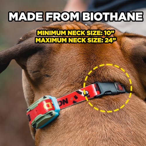 Dogtra Tom Davis Quick Release 3/4" Inch Strap with Buckle Waterproof Biothane for Remote Training E-Collar Easy Adjustable Comfortable for 280C 2.0 Receiver 28" - Red - color: Quick Release Strap Only - Red