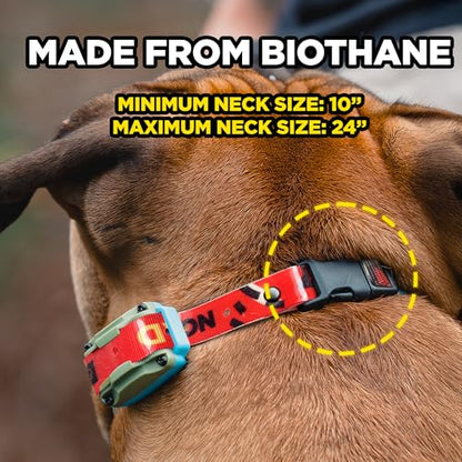 Dogtra Tom Davis Quick Release 3/4" Inch Strap with Buckle Waterproof Biothane for Remote Training E-Collar Easy Adjustable Comfortable for 280C 2.0 Receiver 28" - Red - color: Quick Release Strap Only - Red
