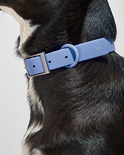 Wild One Dog Collar, Easy-Clean, All Weather Flex-Poly Strap with Metal, Durable, Dirt and Odor Resistant (Moonstone, XL) - color: Moonstone, size: XL