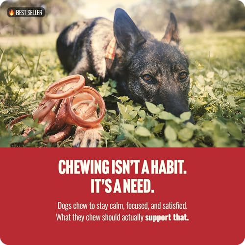 Natural Farm Odor Free Bully Sticks Ring Shaped (3-4 Inch, 10 Pack) - 100% Beef Chews for More Engagement & Fun, Grass-Fed, Non-GMO, Fully Digestible - Best for Small & Medium Chewers