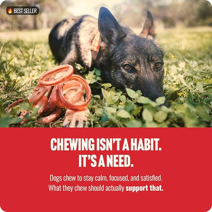 Natural Farm Odor Free Bully Sticks Ring Shaped (3-4 Inch, 10 Pack) - 100% Beef Chews for More Engagement & Fun, Grass-Fed, Non-GMO, Fully Digestible - Best for Small & Medium Chewers