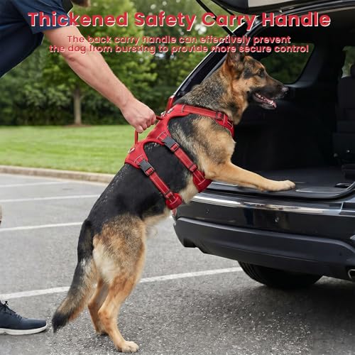 Escape Proof Dog Harness and Leash Set,Soft Padded Full Body Pet Harness, No Pull Reflective Adjustable Dog Vest with Handle, Easy Control Dog Harness for Medium Large Dogs Training Walking Running - color: Red, size: XL