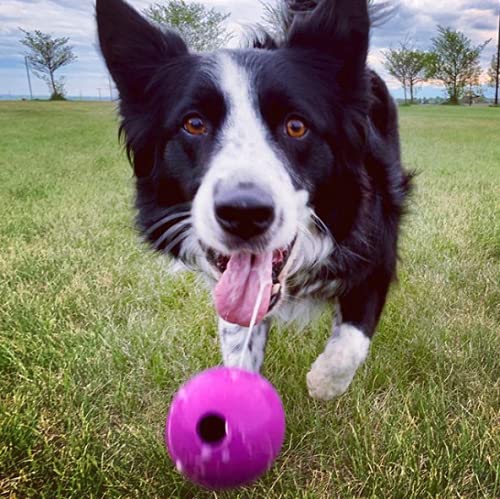 Chew King Fetch Balls Extremely Durable Natural Rubber Toy Pack of 3 - 3 inch Balls (CM-0263-CS01) - color: 3-Pack (3" Balls) - Blue, Purple, Turquoise