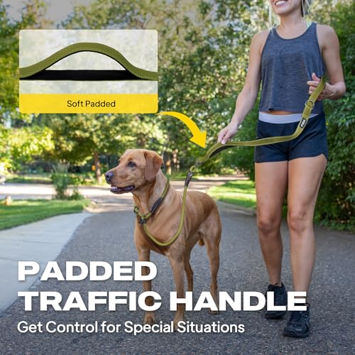 Fida 2-in-1 Slip Leads for Dogs with Double Handles, Tangle Free Leash for Large Dogs that Pull, Heavy Duty No Pull Training Leash Reflective Soft Padded for Large & Medium Breed(6ft,Green) - color: Green