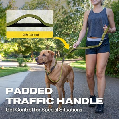 Fida 2-in-1 Slip Leads for Dogs with Double Handles, Tangle Free Leash for Large Dogs that Pull, Heavy Duty No Pull Training Leash Reflective Soft Padded for Large & Medium Breed(6ft,Green) - color: Green