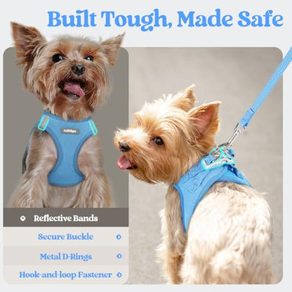 rabbitgoo Dog Harness Small Sized and Leash Set, Step in Soft Light Puppy Vest, Breathable Mesh Pet Harness, Reflective for Safe Easy Walking, Blue XXXS - color: Blue, size: Xxxs (chest: 10.8 - 11.8")