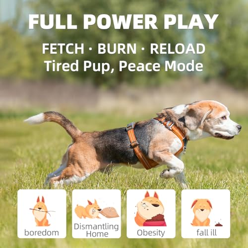 Automatic Dog Ball Launcher-Small Silent Dog Ball Thrower, 3 Adjustable Distances (20ft/33ft/46ft), Rechargable,Includes 3 Durable 2.3" Balls for Small/Medium Dogs (Yellow, Medium) - color: Yellow