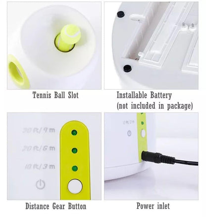 Compact Automatic Dog Ball Launcher Interactive Fetch Machine
