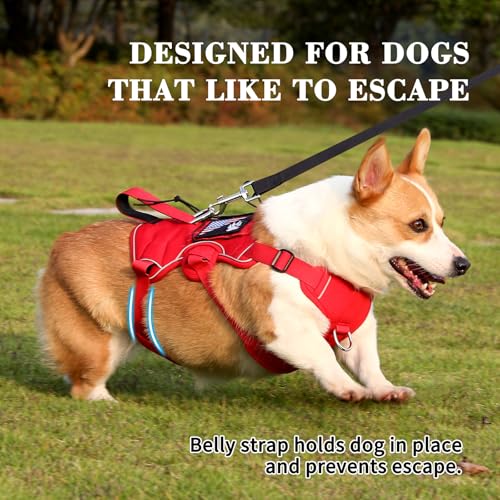 VOOPET Escape Proof Dog Harness, Soft Padded Full Body Pet Harness, Reflective No Pull Dog Harness with Handle and 2 Leash Clips for Small Dogs Walking Hiking Training (Red,S)