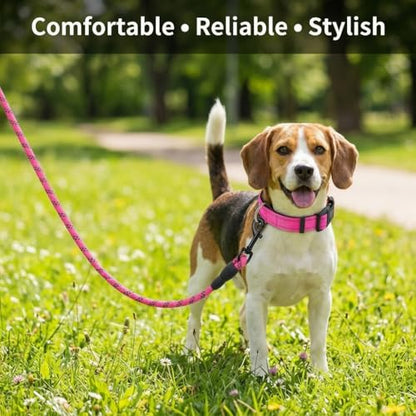 Dog Leash and Collar Set – 6 FT Strong Rope Leash with Padded Handle & Adjustable Nylon Collar Reflective for Small Medium Large Dogs (Pink, L) - color: Pink, size: L