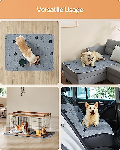 Feandrea Washable Dog Pee Pads, 2 Pack, Reusable, 48 x 36 Inches, XL, Waterproof Pet Training, Leakproof, Non-Slip, Super Absorbent, Gray UPTD036G01 - size: XL (48"L x 36"W)