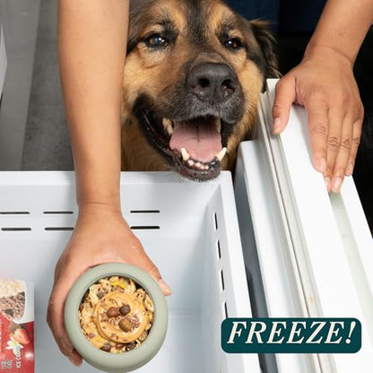 Should We Go? Interactive Dog Enrichment Toy with Freezer Plug, BPA-Free Silicone Puzzle Dog Freeze Bowl & Treat Dispenser for Mental Stimulation, Ideal for Kibble & Frozen Licks, Fits 3 oz, Small - size: Small
