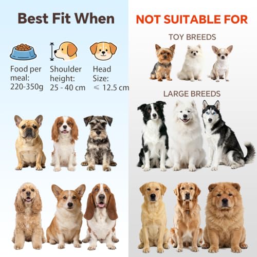 White Large Ceramic Tilted Elevated Cat Dog Bowl Raised Cat Food Water Bowl Dish Pet Comfort Feeding Bowls with Gold Iron Stand - color: White, size: Large