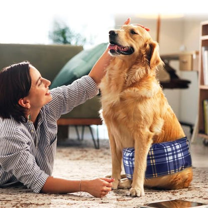 wegreeco Small Dog Diapers Male,Reusable Belly Bands for Male Dogs,Washable Doggie Puppy Male Diapers Wraps,Medium Large Size (5 Pack XX-Large, Checkered Pattern) - color: Checkered Pattern, size: XX-Large
