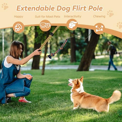 Flirt Pole for Dogs, Interactive Toys Tug-of-war for Pet, Durable Teaser Wand, Chase Toys with Rope Chewing Sticks, for Outdoor Exercise & Training - size: 2 switch-40.2Inch-Gold