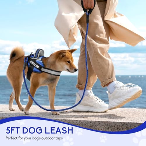 Service Dog Vest Harness and Leash Set, Animire in Training Dog Harness with 10 Dog Patches, Reflective Dog Leash with Soft Padded Handle for Small, Medium, Large, and Extra-Large Dogs (Blue, XS) - color: Blue, size: XS