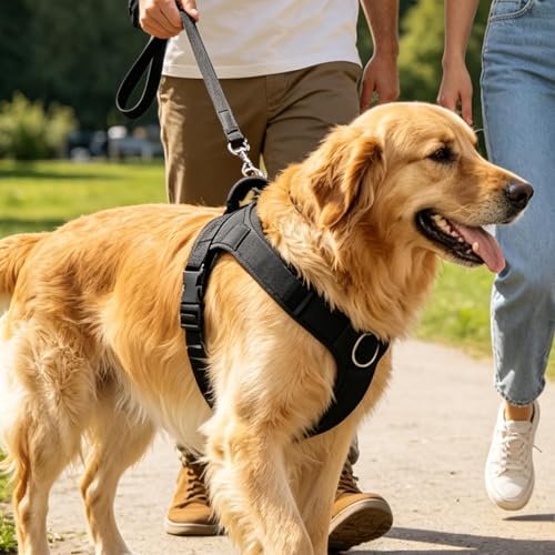 No Pull Dog Harness - Escape Proof Adjustable Vest, Breathable Mesh Anti-Choke Design with Reflective Straps, Training Harness for Small Medium Large Dogs for Daily Walking Camping Traveling - size: S
