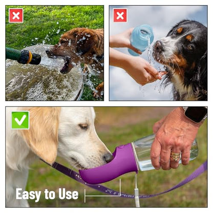 Mr. Pen- Portable Dog Water Bottle, 19 oz, Large | Leak Proof Puppy Water Dispenser with Drinking Feeder for Pets, Outdoor Walking, Hiking, Travel, Not Dishwasher Safe - color: Purple