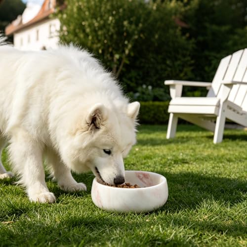 Karibiber Marble Dog Bowl, 5lbs Weighted Dog Food Bowl, Non-Slip Large Heavy Water Bowls, Cute Pink Stone Food and Water Dish for Medium Dogs, Natural Marble, Easy to Clean, Holds 4 Cups - color: Pink, size: S