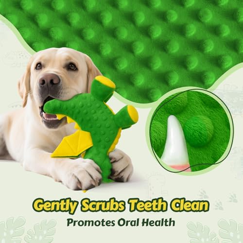 Squeaky Plush Dragon Dog Toy, 5 Squeakers and Crinkle Wings | Soft Bubble Plush | Textured Body | Gentle Chewing | Small to Large Breeds | Toss, Fetch & Tug | Everyday Play - color: Green