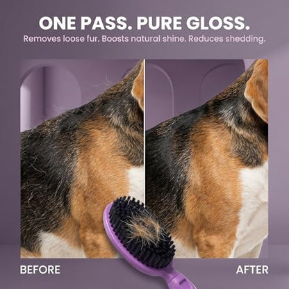 Soft Bristle Dog Brush For Short Haired Cats Or Dogs - Firm Bristles To Remove Dust, Dirt, And Loose Fur - Hook And Rubber Handle