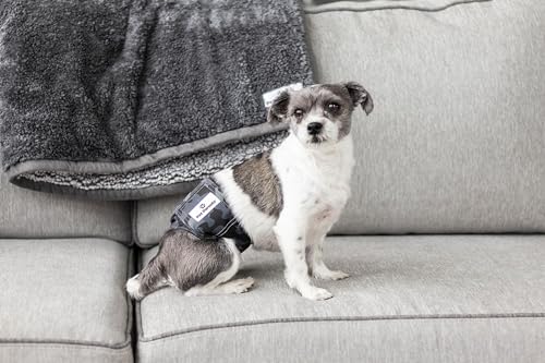 Pet Parents® Washable Belly Bands for Male Dogs (3pack) + Extendrs® of Durable Dog Diapers Male, Premium Male Dog Diapers & Dog Wraps (X-Small, Camo) - color: Camo, size: X-Small (11-13")