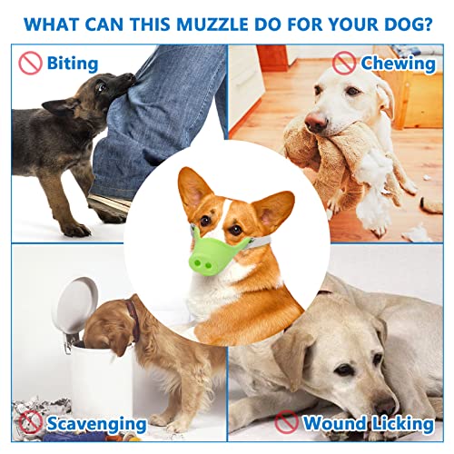 HOWWFALY Silicone Dog Muzzle, Soft Muzzle for Small Medium Dogs Poodle Corgi Dachshund，Pig Mouth Shape Breathable Dog Mouth Covers to Prevent Bite Chew and Call with Adjustable Strap (Green, Small) - size: Small