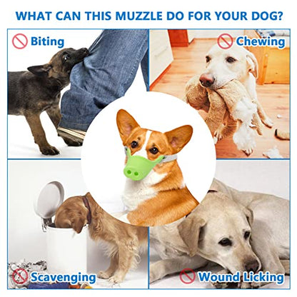 HOWWFALY Silicone Dog Muzzle, Soft Muzzle for Small Medium Dogs Poodle Corgi Dachshund，Pig Mouth Shape Breathable Dog Mouth Covers to Prevent Bite Chew and Call with Adjustable Strap (Green, Small) - size: Small