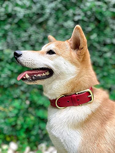 Tuff Pupper Classic Heavy Duty Dog Collar | 10x Stronger Than Leather | 100% Waterproof & Odor Proof Dog Collar | Tough Rust-Proof All Metal Hardware - color: Crimson Red